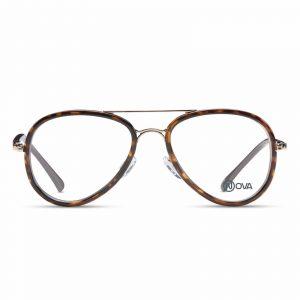 NOVA Full Rim Pilot Shiny Demi Brown PNF004 01 Men Eyeglasses