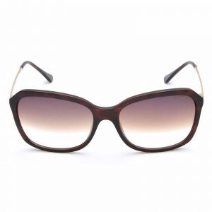 IDEE Full Rim Butterfly Shiny Brown Demi IDS2405 C2 Women SUNGLASSES