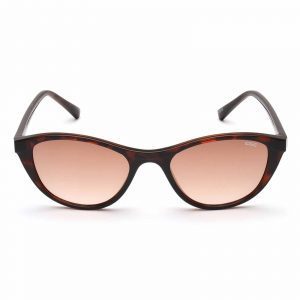 IDEE Full Rim Cat Eye Shiny Brown Demi IDS2587 C2 Women SUNGLASSES