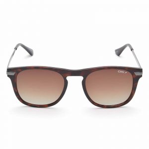IDEE Full Rim Square Shiny Brown Demi-Shiny Dark Gun IDS2593 C2P Men SUNGLASSES