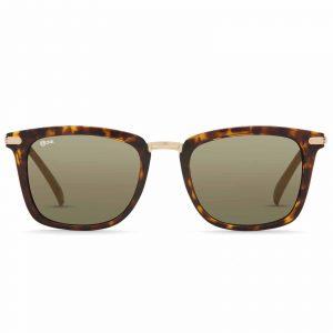 NOVA Full Rim Square Shiny Demi Brown with Light Gold NV4317 F02 MEN SUNGLASSES